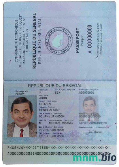 Przykład paszportu senegalskiego w formacie PSD, w pełni edytowalny